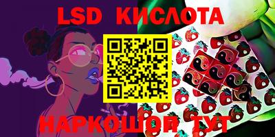 a pvp Бугуруслан