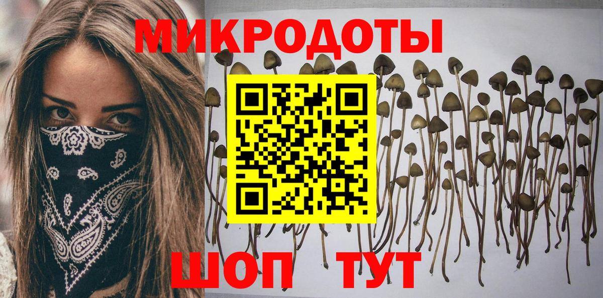 Псилоцибиновые грибы GOLDEN TEACHER  Вход с VPN  Лыткарино  Псилоцибиновые грибы Psilocybe 